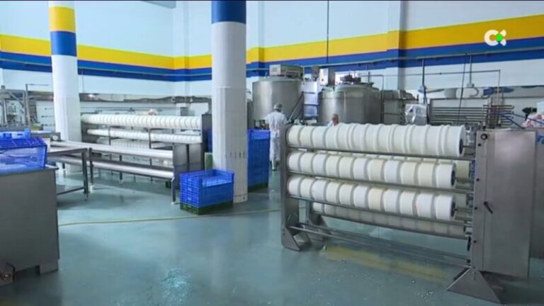 La jornada laboral de cuatro días llega a las pymes