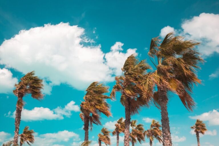 Fuerte viento y menos calima en Canarias