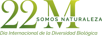 Día Internacional de la Diversidad