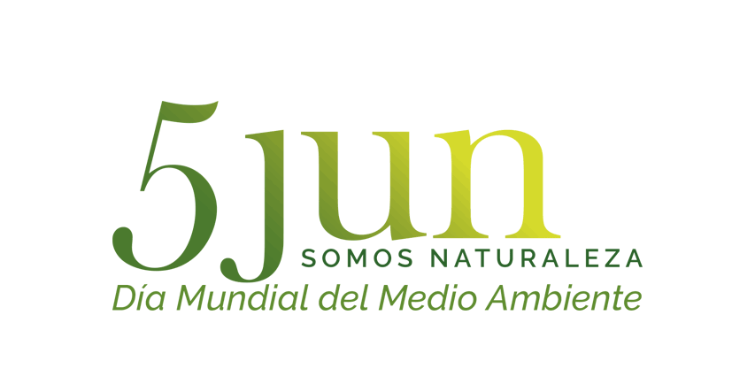 ¿Qué Sabes Del