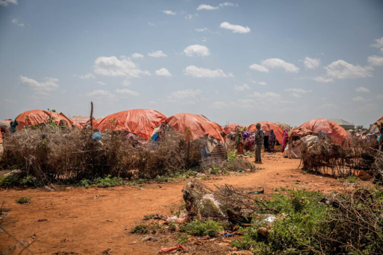 Nuevo récord: La ONU cifra en 258 millones las personas que viven al límite por falta de alimentos