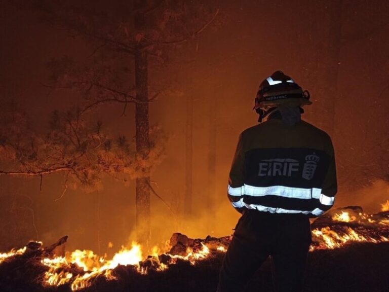 Canarias contará con 1.401 efectivos y 160 vehículos para prevenir incendios este verano