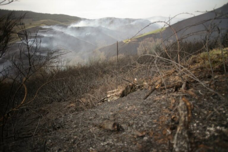 Más de media España en riesgo «extremo o muy alto» de incendios forestales