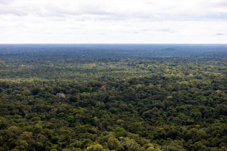 Continúa la búsqueda de los cuatro menores desaparecidos en Colombia