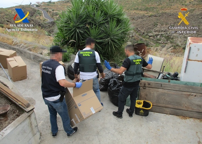 Desarticulado en Tenerife un grupo criminal dedicado al cultivo y tráfico de hachís ‘Drysift’