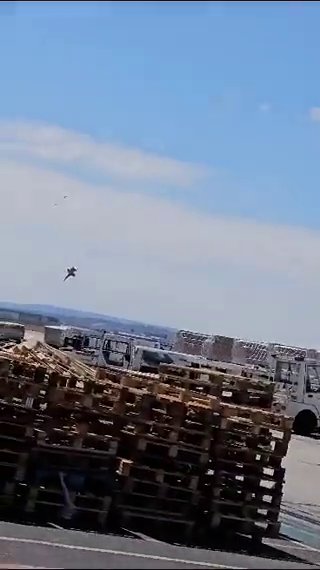 Un caza F18 se estrella en la Base de Zaragoza y el piloto consigue eyectarse a tiempo