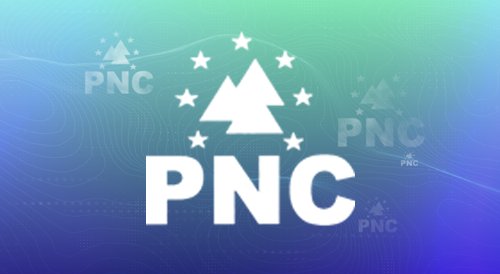 Resultados PNC Elecciones Autonómicas Canarias 2023