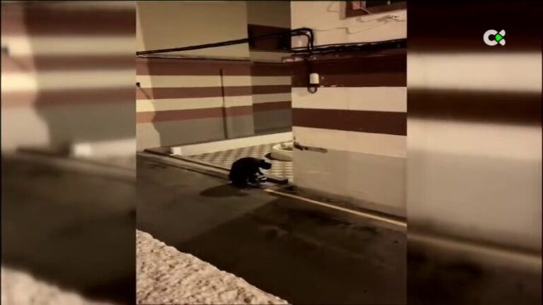 Un hombre disfrazado de Batman borra una línea que prohibía estacionar en La Isleta, Gran Canaria
