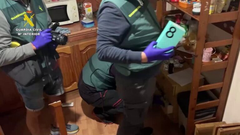 Once detenidos y cinco investigados por atracos con armas simuladas en Tenerife