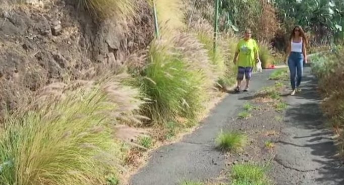 Los vecinos de Valle Crispín en Santa Cruz de Tenerife denuncian 30 años con una carretera en pésimas condiciones