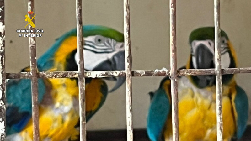 Especies protegidas 1. Guardia Civil