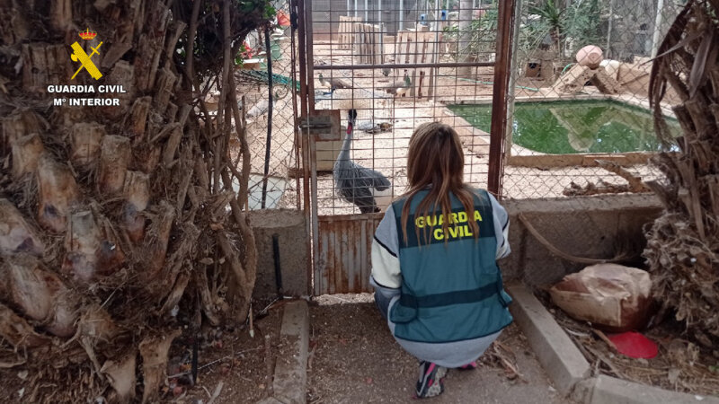 Especies protegidas. Guardia Civil