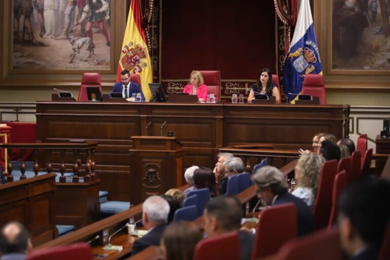 Astrid Pérez (PP), presidenta del Parlamento de Canarias