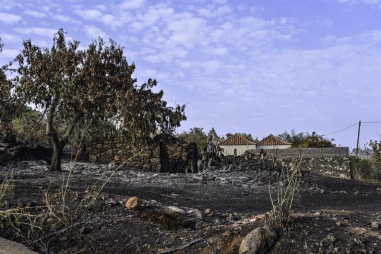 El incendio de La Palma se da por estabilizado