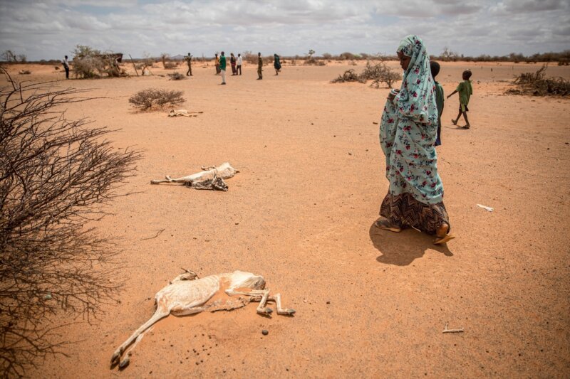 Reino Unido dice que la guerra "agravará la inseguridad alimentaria en África durante al menos dos años"