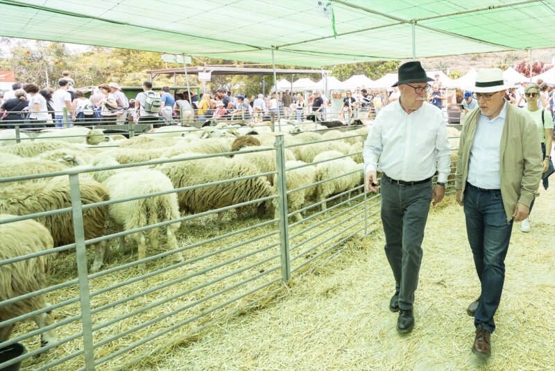 Gran Canaria destina 3 millones al sector ganadero