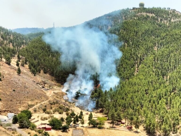 El incendio de Gran Canaria se mantiene en nivel 1