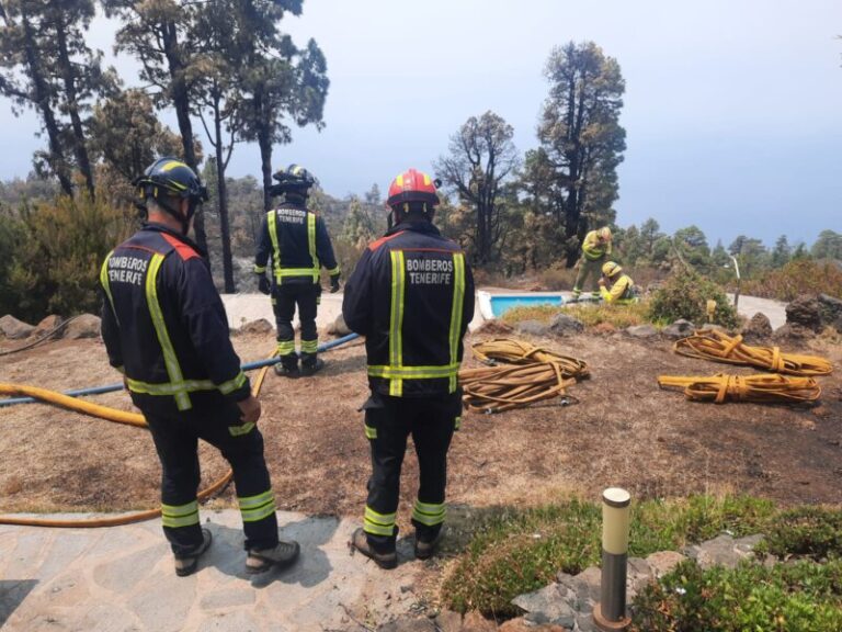 Estabilizado el incendio en el frente de El Reventón
