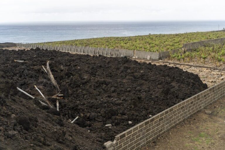 Finalizado el borrador de decreto ley para la recuperación agraria de La Palma