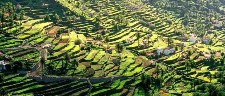 La Gomera recibirá en el mes de agosto más de 130.000 visitantes