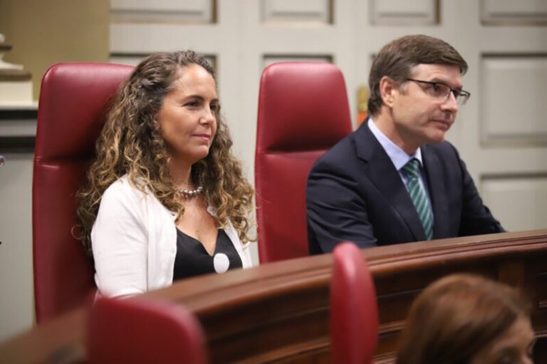 Vox quiere que el Parlamento canario pida la derogación de la Ley de libertad sexual