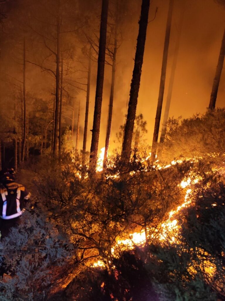 Incendio de Gran Canaria