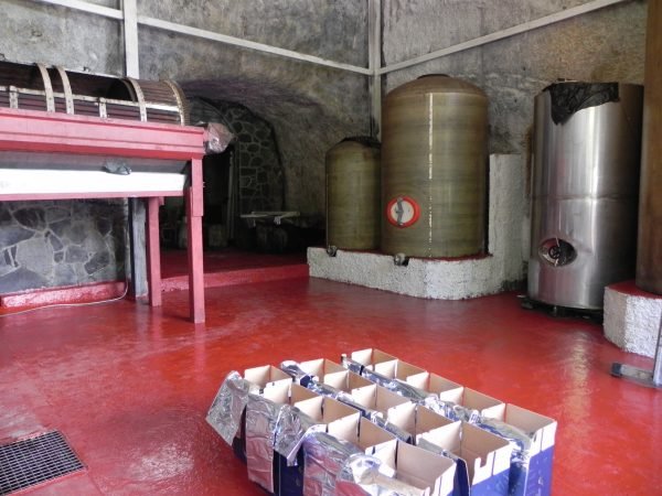 Las Bodegas Tendal, arrasadas por el incendio de La Palma