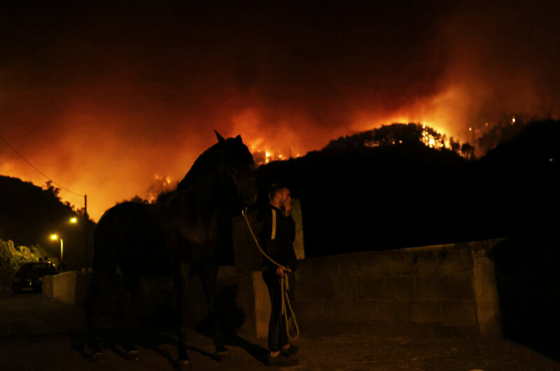 El incendio de Tenerife en imágenes