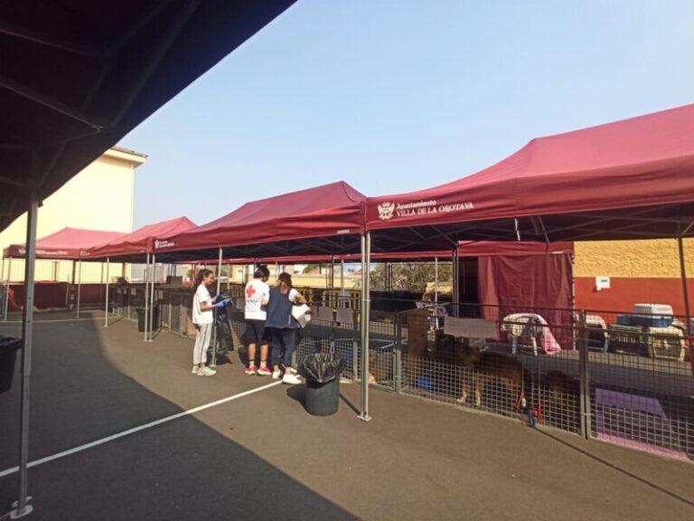 Más de 1.500 animales han sido atendidos durante el incendio