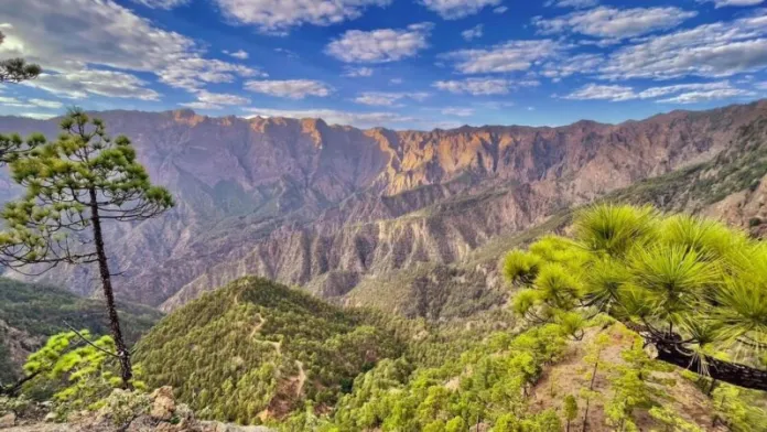Los daños en esta zona fueron menores que los registrados en las cumbres, lo que se deja notar ya en el rebrote de la vegetación