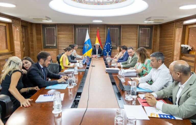 El Gobierno canario impulsará una mesa de trabajo para elaborar una ley forestal