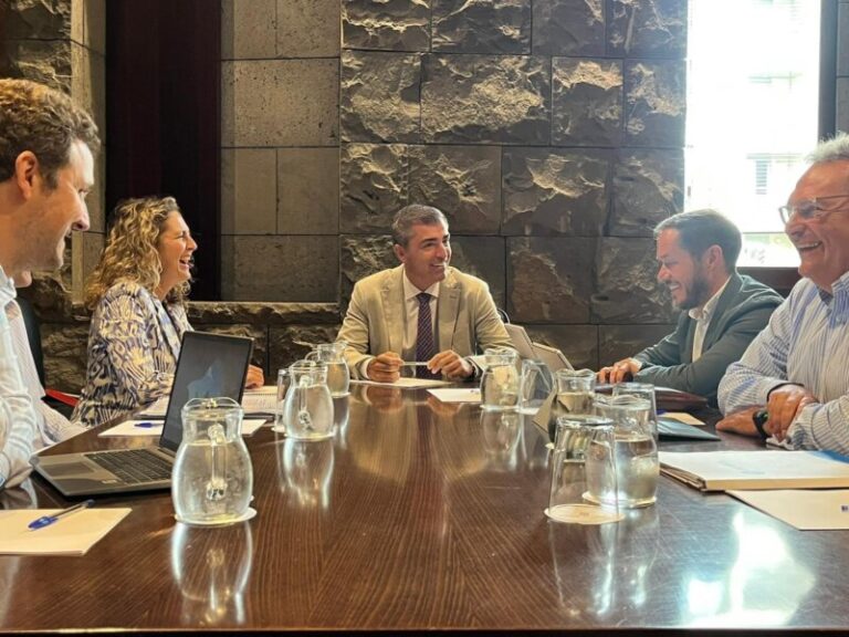 El Gobierno de Canarias estudia alternativas para solucionar las «carencias» de la red eléctrica