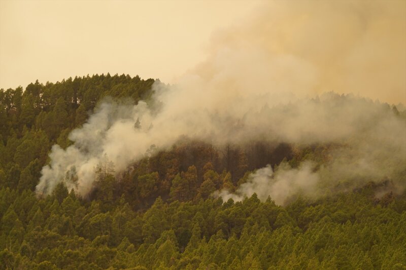 Incendio declarado en Tenerife 17/08/23