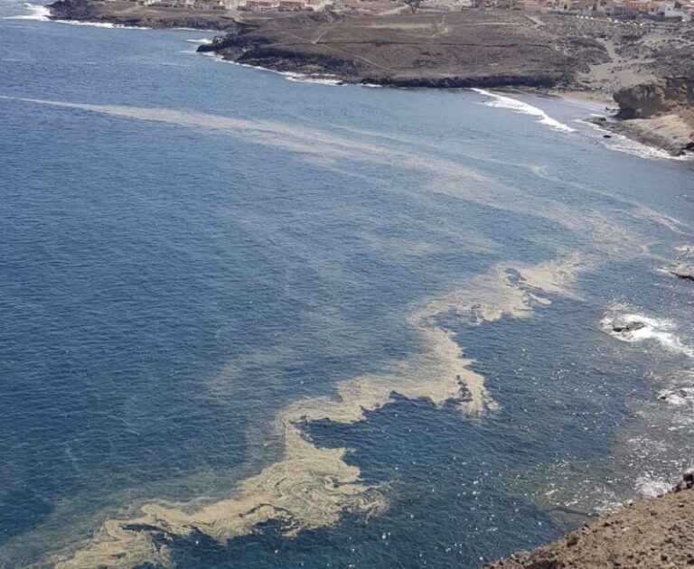 Adeje recomienda no bañarse en sus playas por la presencia de microalgas