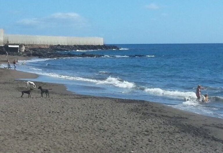 Granadilla y Arico toman medidas por la presencia de microalgas