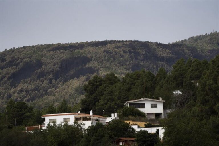 El Cabildo de Tenerife estima en unos 80,4 millones los daños ocasionados por el incendio forestal