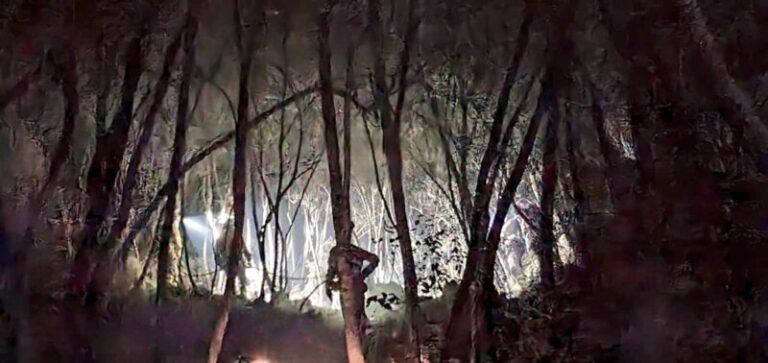 Fin de las evacuaciones por el incendio de Tenerife en El Sauzal, Tacoronte, Santa Úrsula y La Orotava