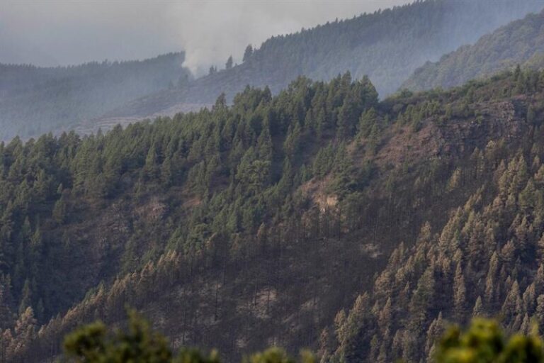 Más de 8.300 personas regresan a sus casas tras ser evacuadas por el incendio de Tenerife