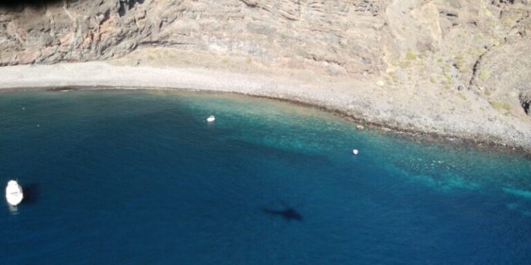 Las microalgas vuelven a Tenerife
