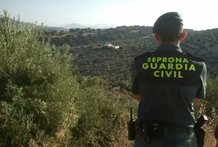 La Guardia Civil potencia los servicios en zonas de acampada y senderos en Gran Canaria para prevenir incendios