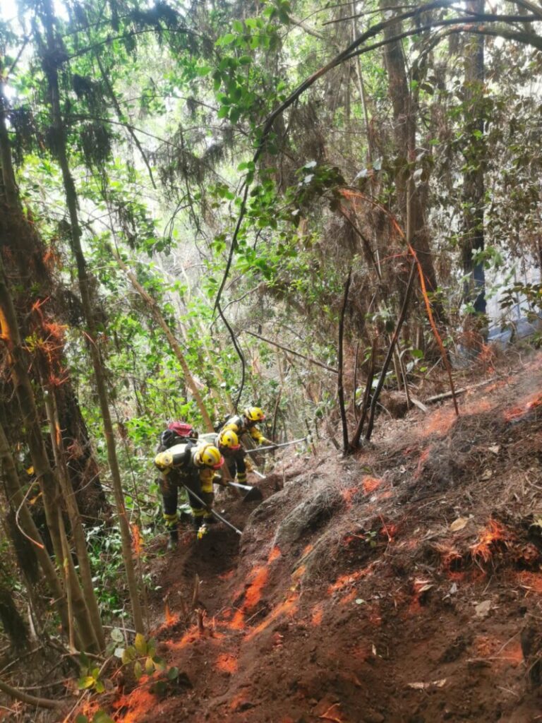 El incendio de Tenerife en imágenes