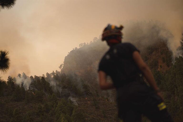 El incendio de Tenerife ha arrasado más de 3.000 hectáreas