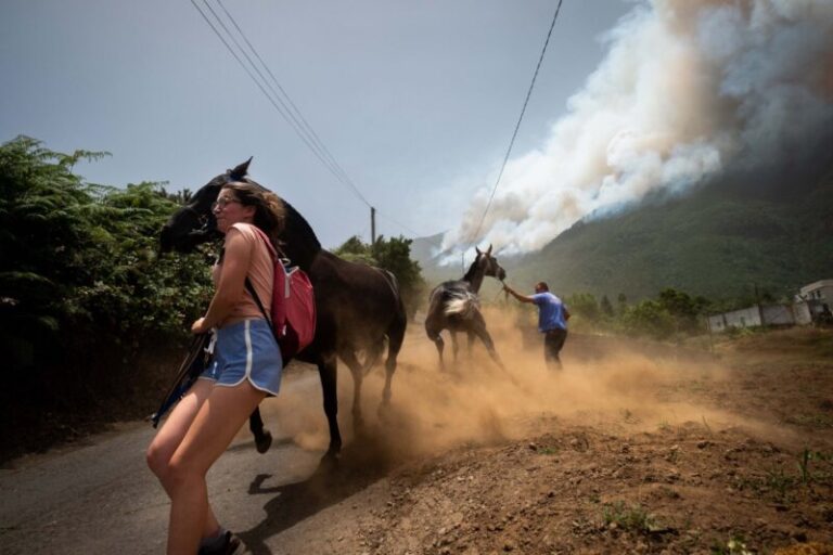 Carlos Novella y Fran Pallero ganan el Certamen de Fotografía Informativa de Fotonoviembre 2023