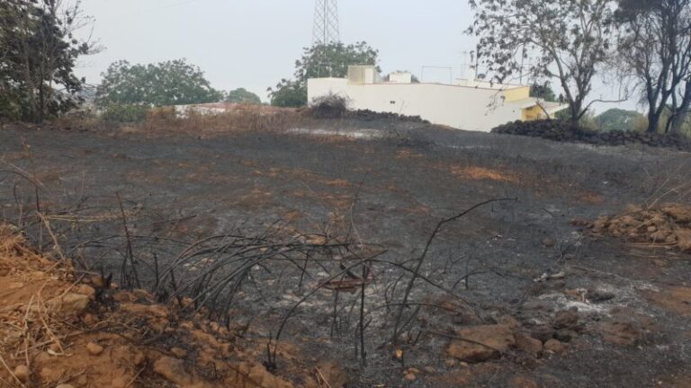 Ante las acciones de los pirómanos, el Código Penal contempla penas que pueden llegar a los 20 años de prisión