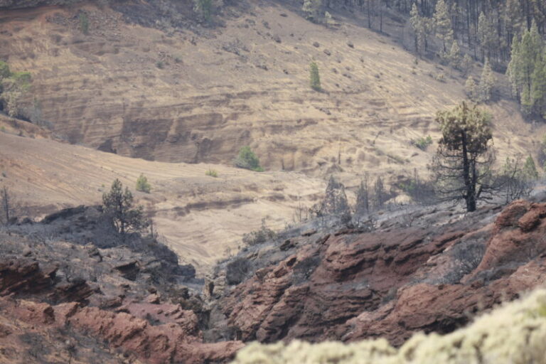 Medios aéreos y terrestres trabajan para sofocar las reactivaciones en el incendio de Tenerife, que continúa estabilizado