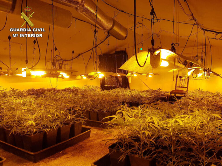 Desmantelada una plantación indoor de marihuana ubicada en una vivienda unifamiliar de lujo en Madrid