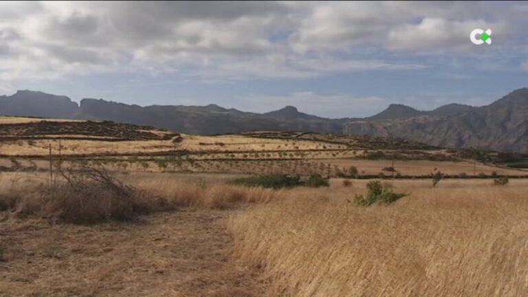 Día Mundial de la Sobrecapacidad de la Tierra
