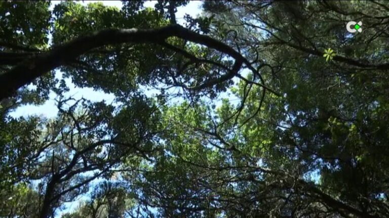 Crece la demanda del senderismo como oferta turística en las islas