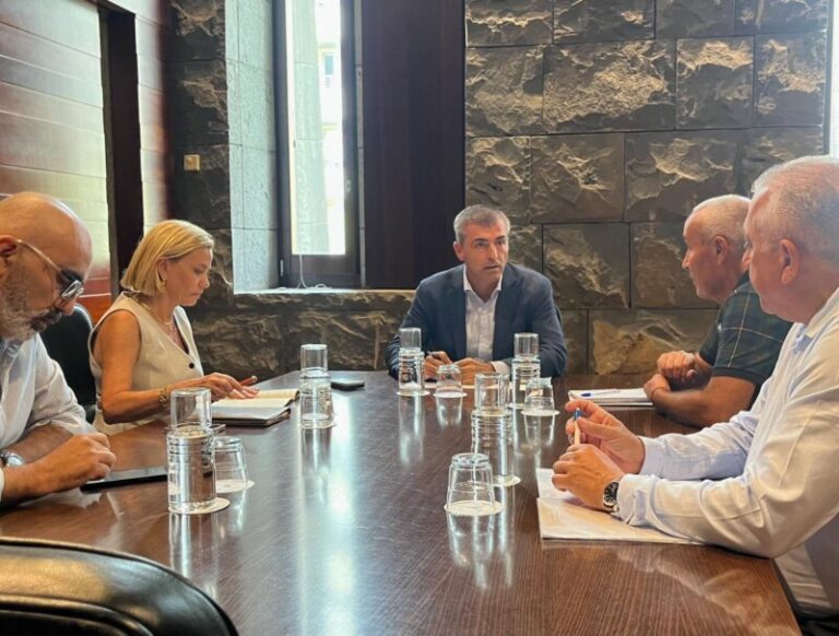 Domínguez y los representantes del taxi abordan los problemas del sector en Canarias