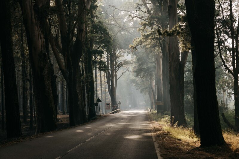 Carretera acceso Teide.